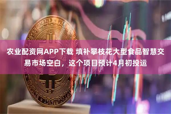 农业配资网APP下载 填补攀枝花大型食品智慧交易市场空白，这个项目预计4月初投运